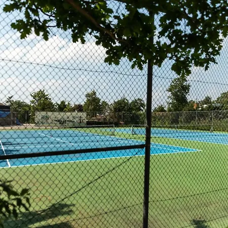 Alpehytte Aan De Kust