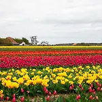 Aan De Kust Alpstuga